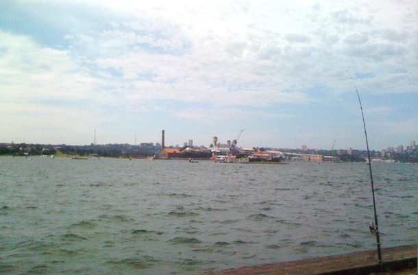 Harbour fish still off menu